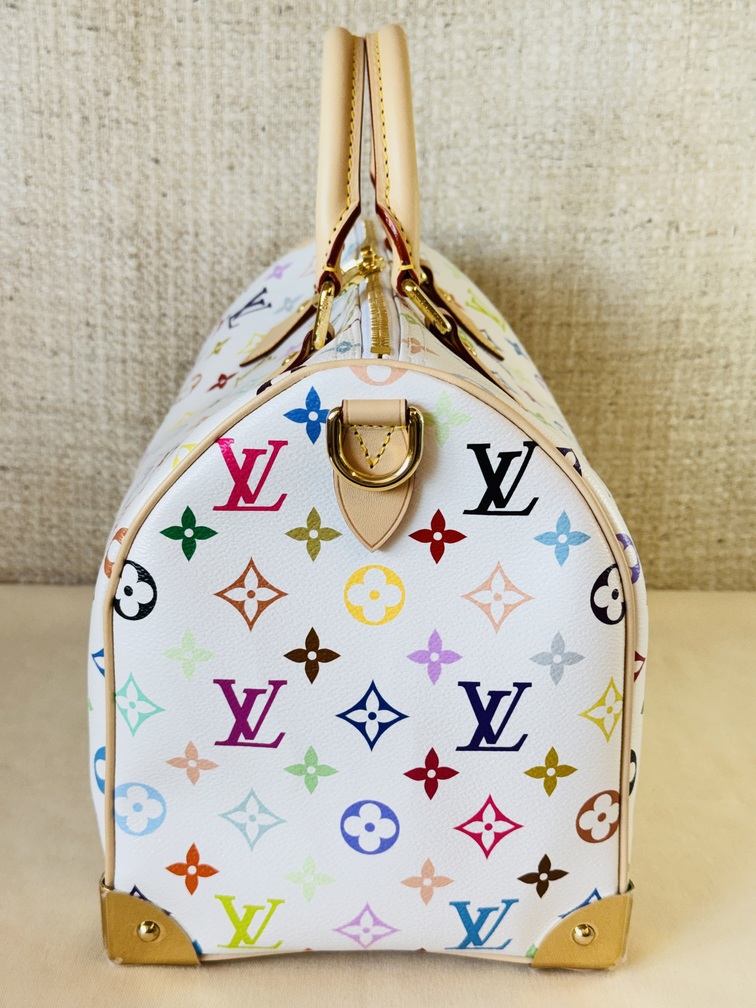 Speedy 30 Soft LV x TM Multicolor