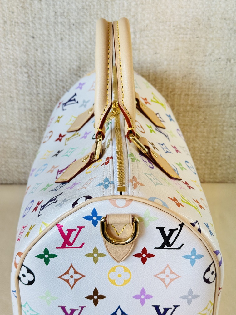 Speedy 30 Soft LV x TM Multicolor
