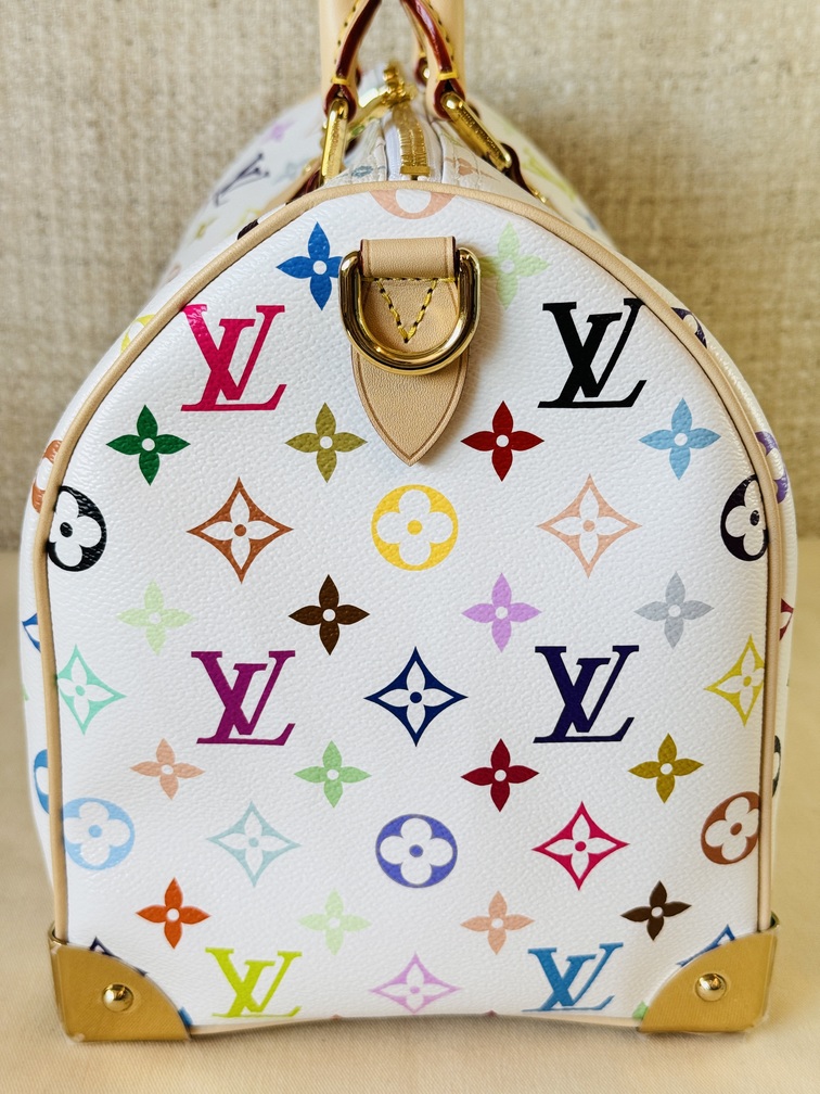 Speedy 30 Soft LV x TM Multicolor