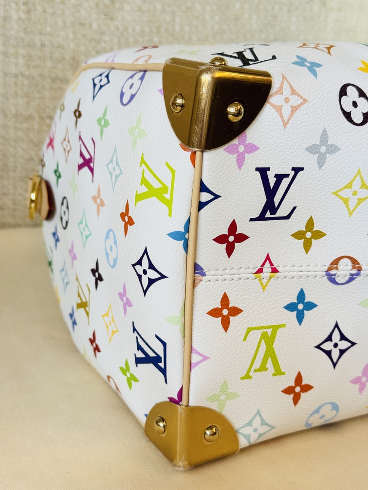 Speedy 30 Soft LV x TM Multicolor