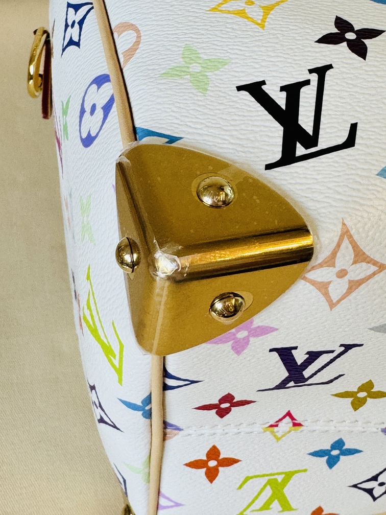 Speedy 30 Soft LV x TM Multicolor