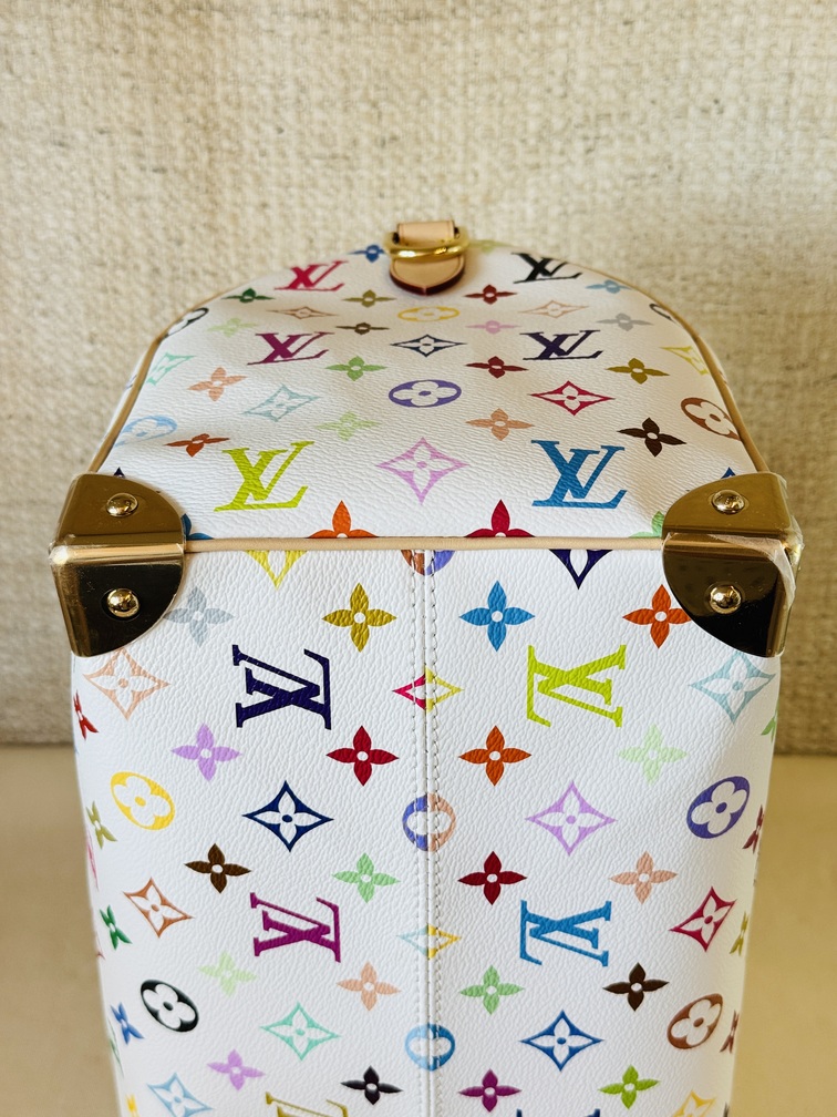Speedy 30 Soft LV x TM Multicolor