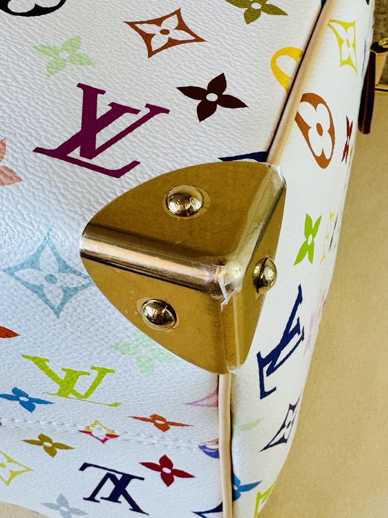 Speedy 30 Soft LV x TM Multicolor