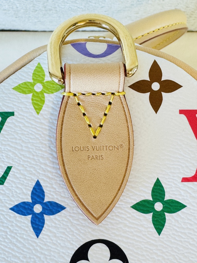 Speedy 30 Soft LV x TM Multicolor