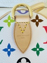 Speedy 30 Soft LV x TM Multicolor