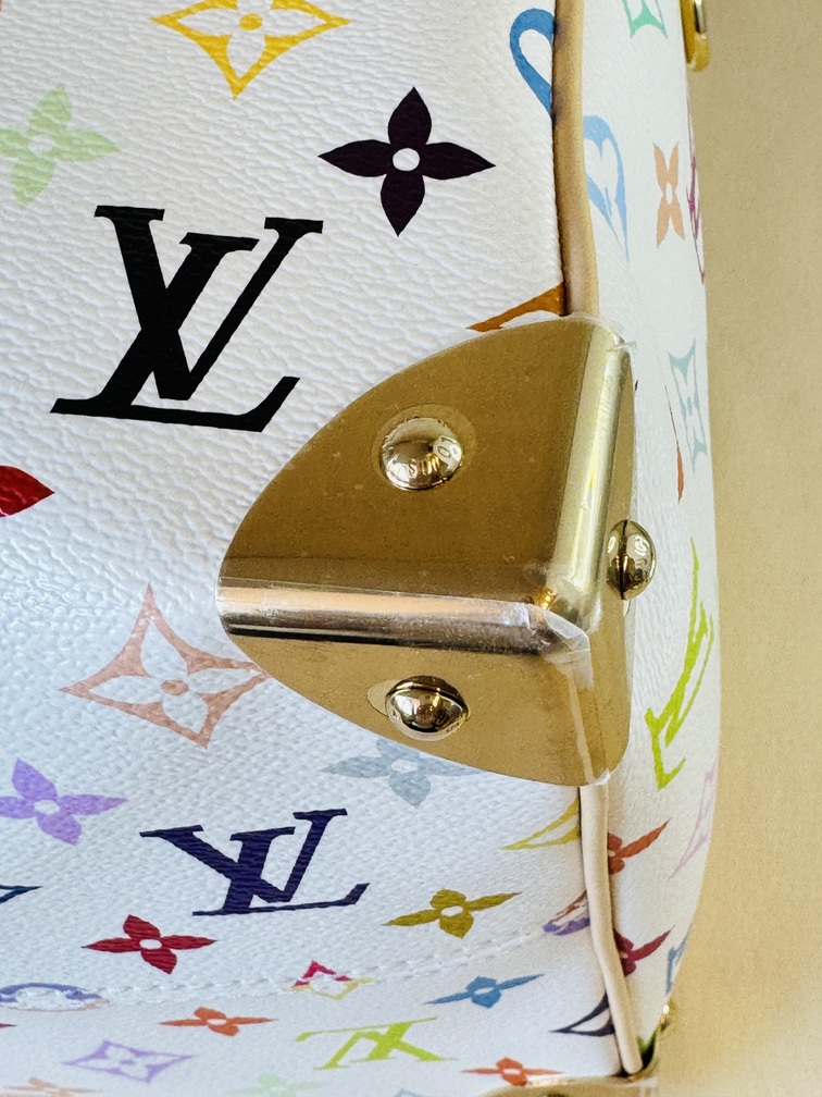 Speedy 30 Soft LV x TM Multicolor