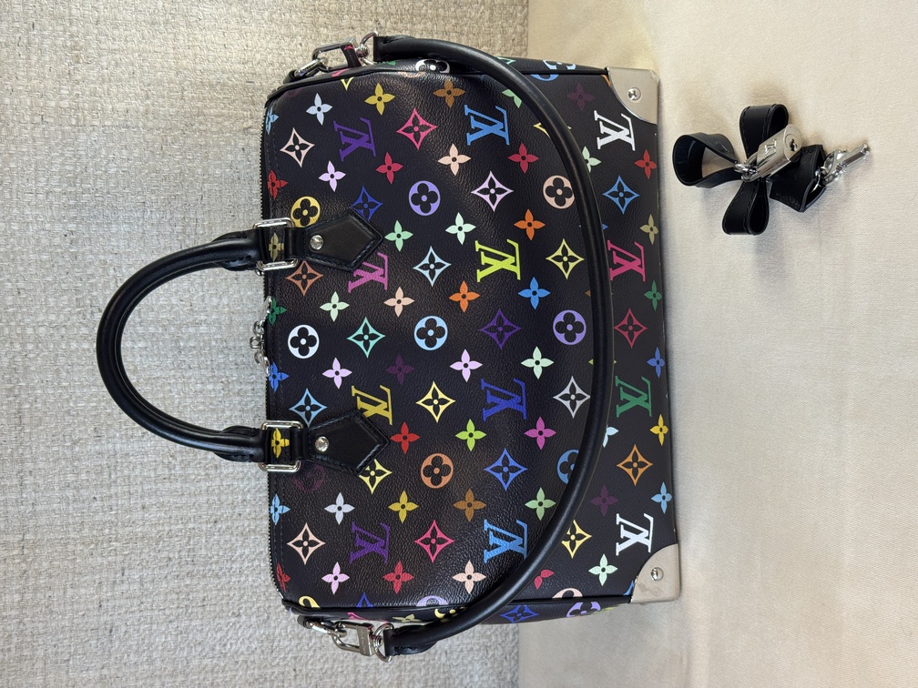 Speedy 30 Soft LV x TM Multicolor