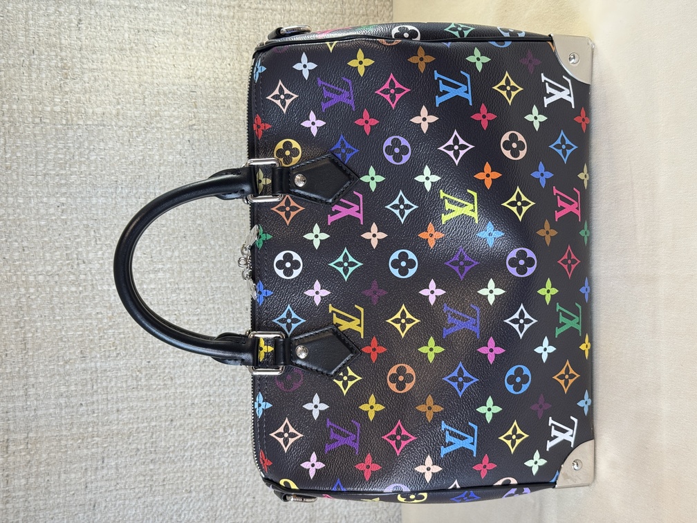 Speedy 30 Soft LV x TM Multicolor