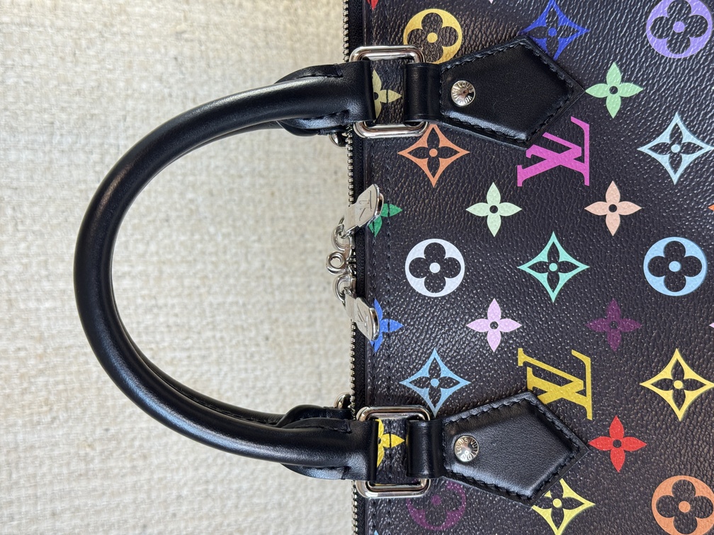 Speedy 30 Soft LV x TM Multicolor