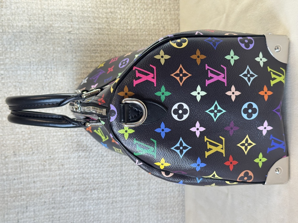 Speedy 30 Soft LV x TM Multicolor