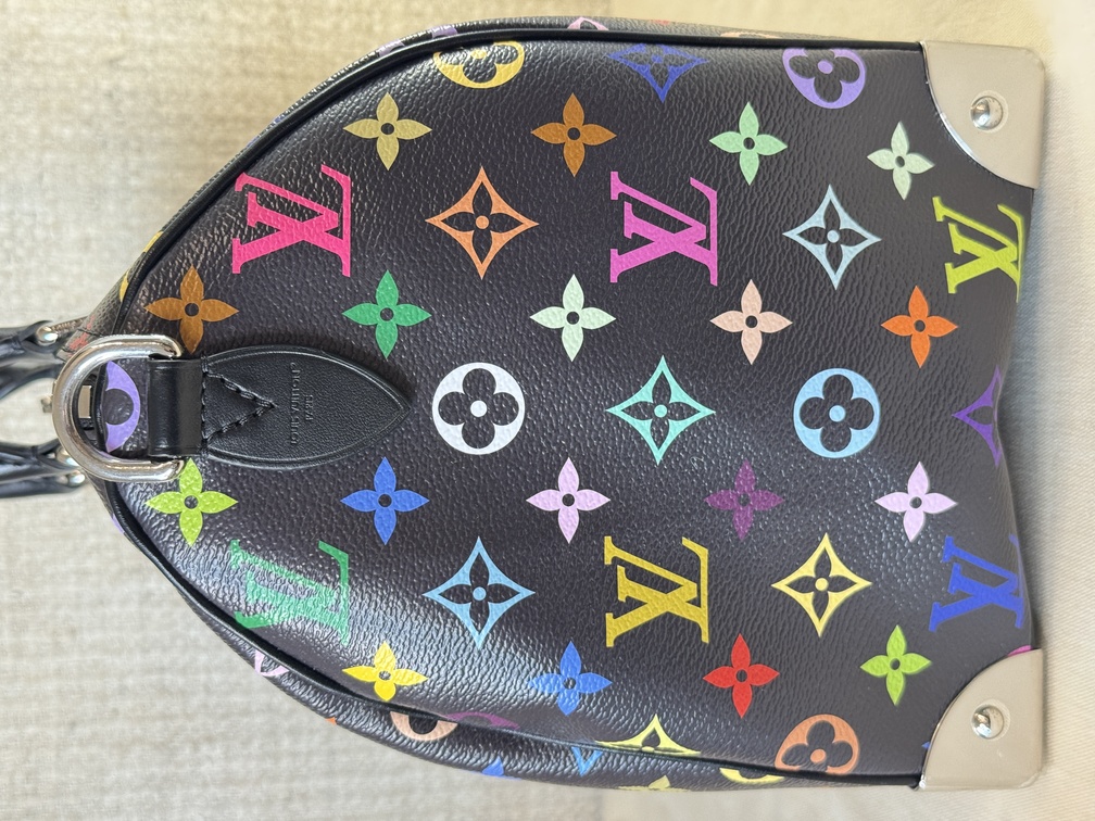 Speedy 30 Soft LV x TM Multicolor