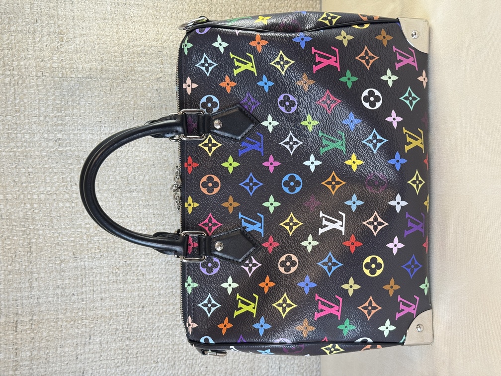 Speedy 30 Soft LV x TM Multicolor