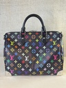 Speedy 30 Soft LV x TM Multicolor