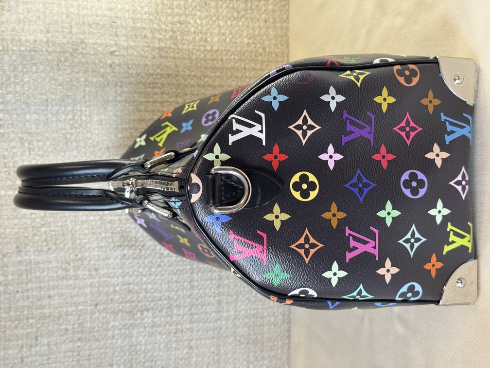 Speedy 30 Soft LV x TM Multicolor