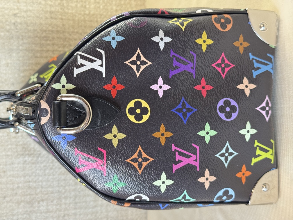 Speedy 30 Soft LV x TM Multicolor