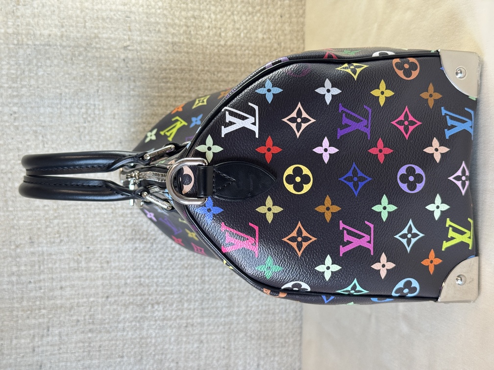 Speedy 30 Soft LV x TM Multicolor