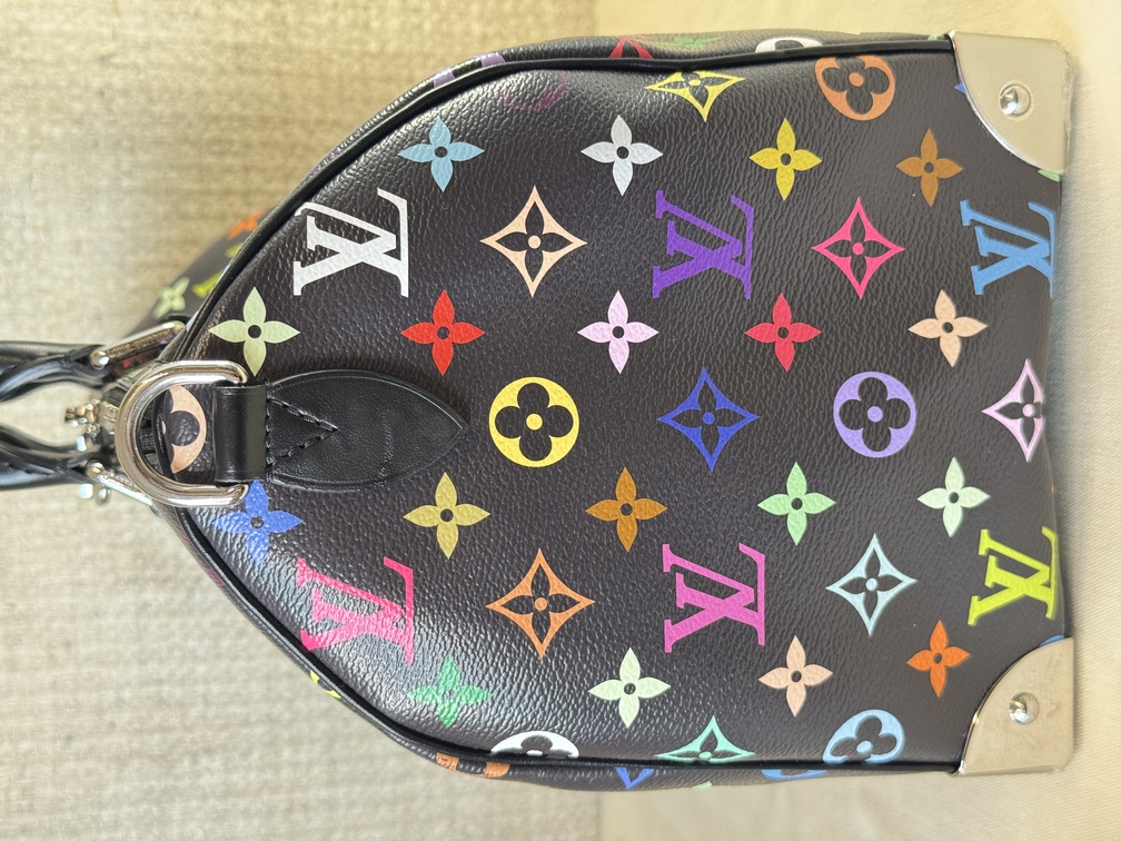 Speedy 30 Soft LV x TM Multicolor