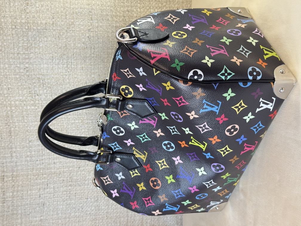 Speedy 30 Soft LV x TM Multicolor