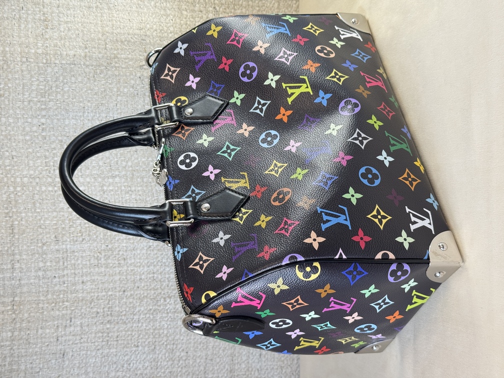 Speedy 30 Soft LV x TM Multicolor