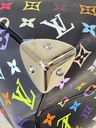 Speedy 30 Soft LV x TM Multicolor