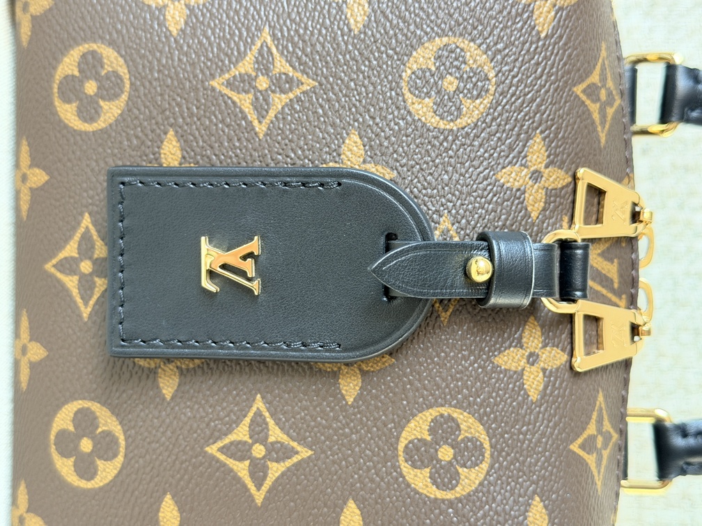 Petite Malle Souple Monogram