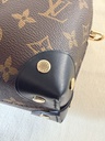 Petite Malle Souple Monogram
