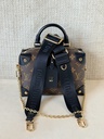 Petite Malle Souple Monogram