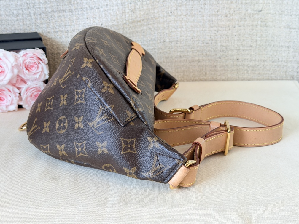 Bumbag Monogram