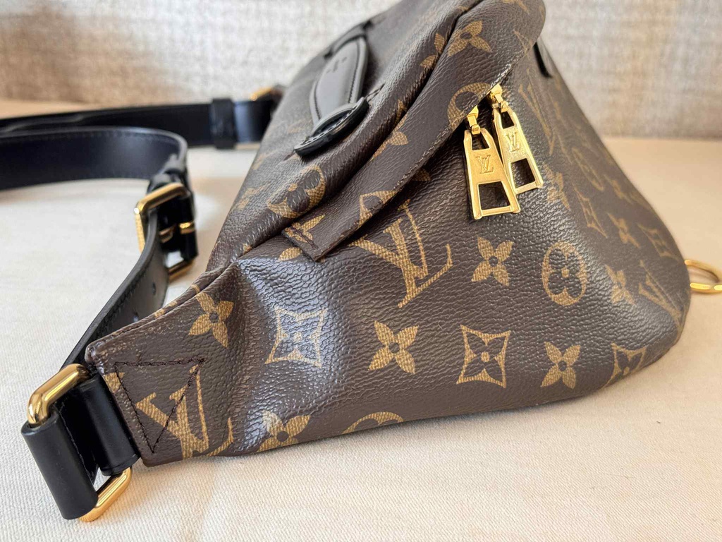 Bumbag Monogram World Tour