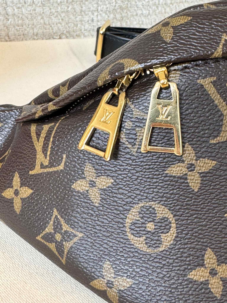 Bumbag Monogram World Tour