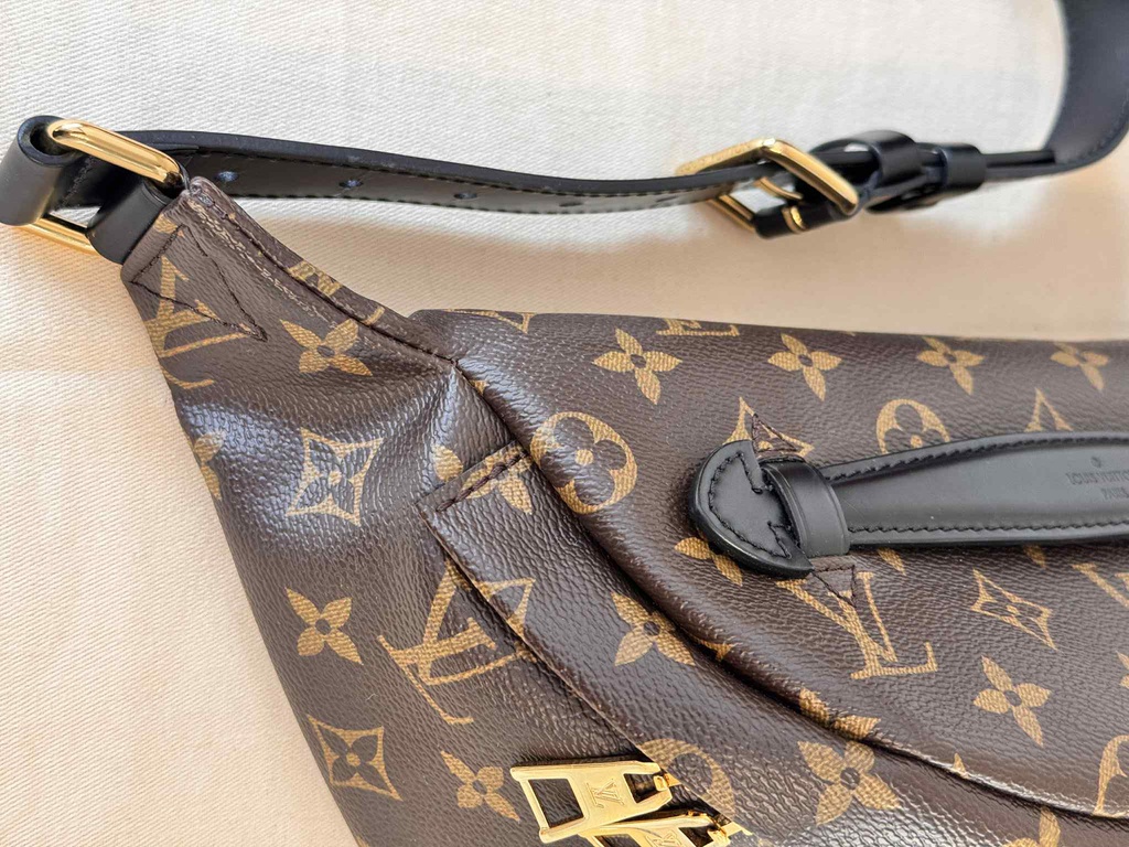 Bumbag Monogram World Tour