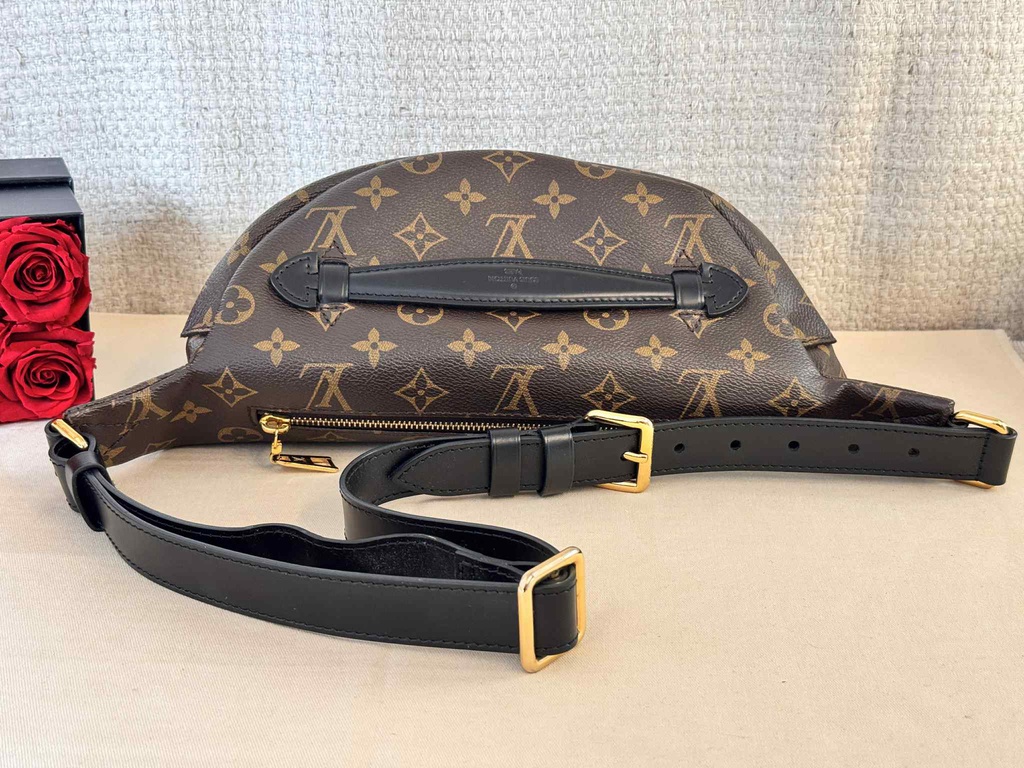 Bumbag Monogram World Tour