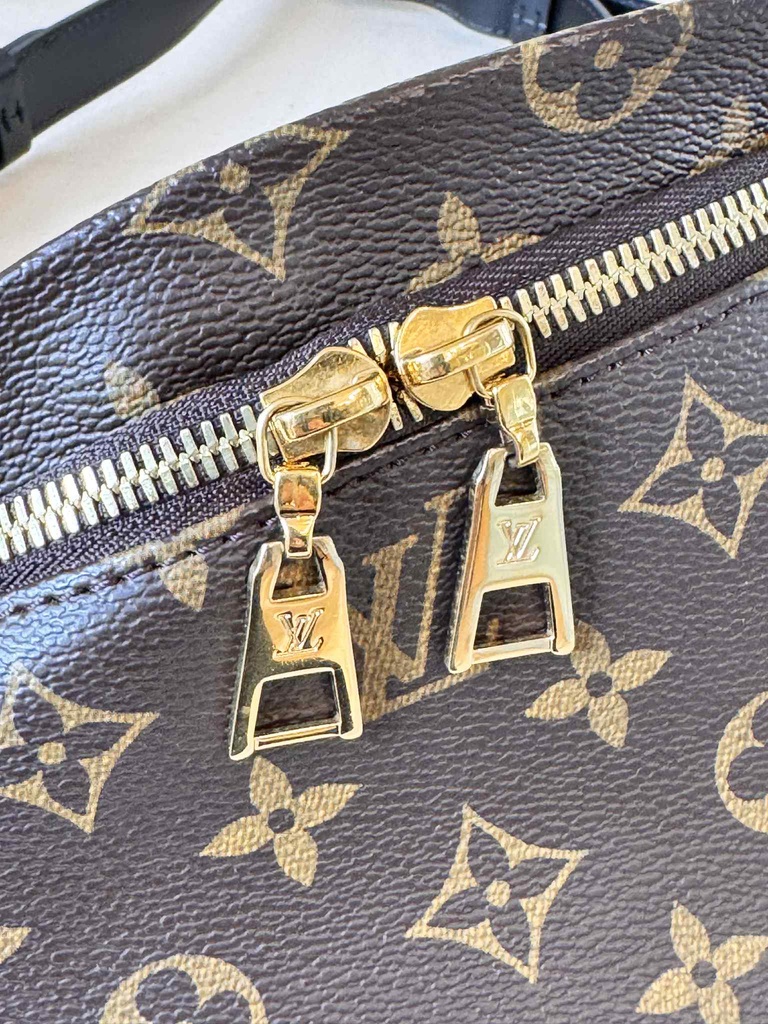 Bumbag Monogram World Tour