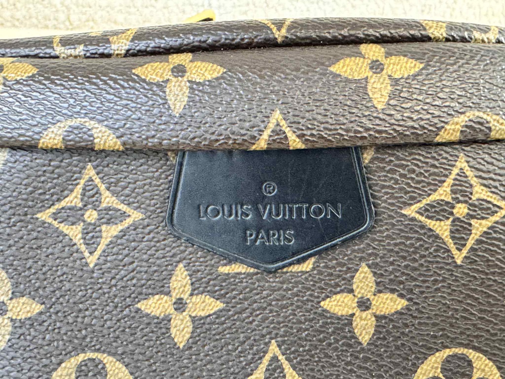 Bumbag Monogram World Tour