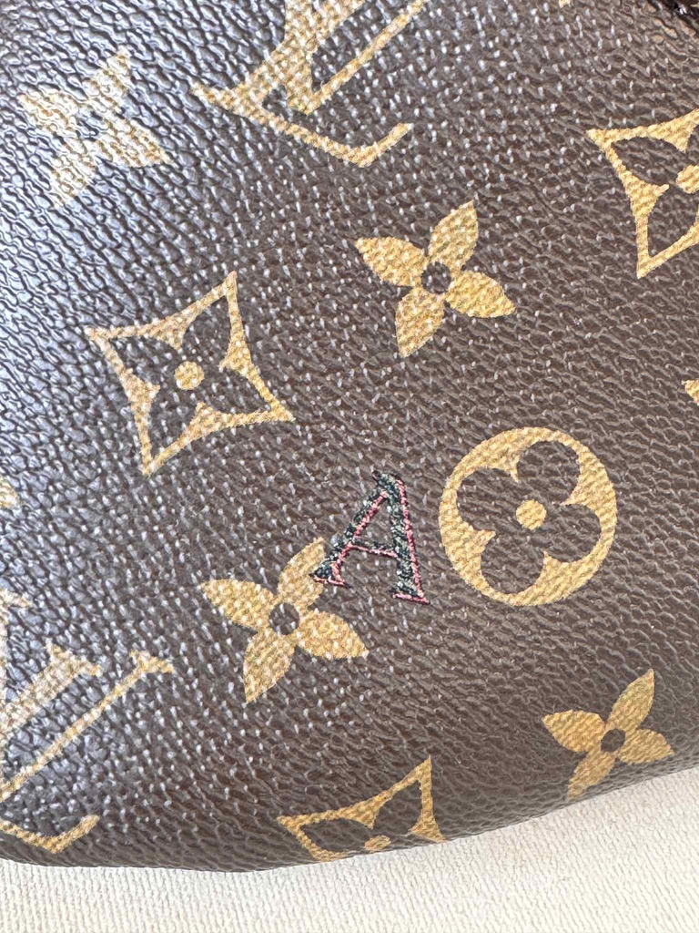 Bumbag Monogram World Tour
