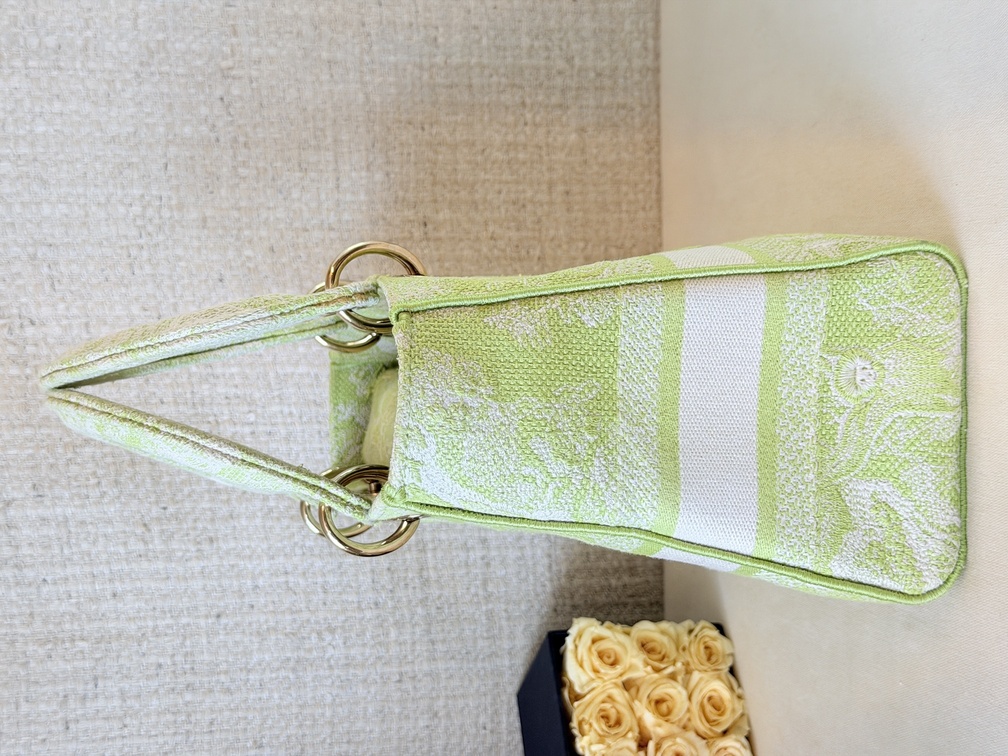 DIOR Lady D-Lite Toile de Jouy Medium