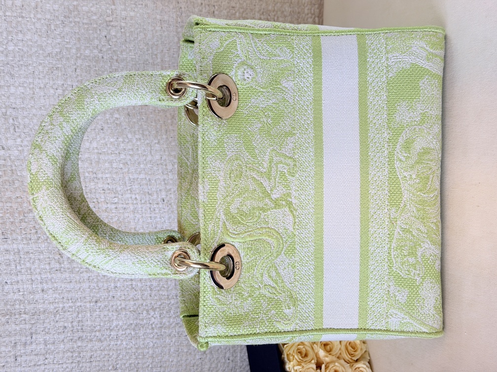 DIOR Lady D-Lite Toile de Jouy Medium
