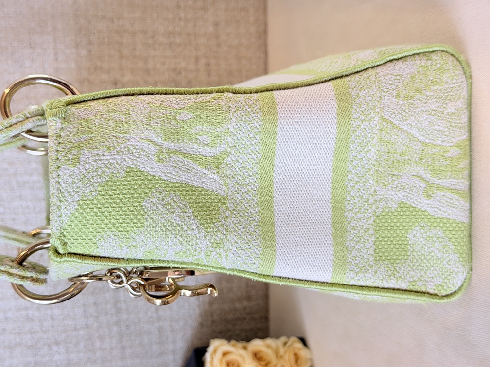 DIOR Lady D-Lite Toile de Jouy Medium