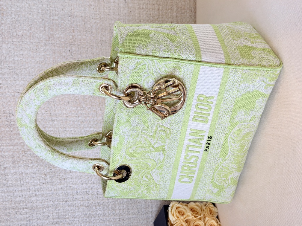 DIOR Lady D-Lite Toile de Jouy Medium