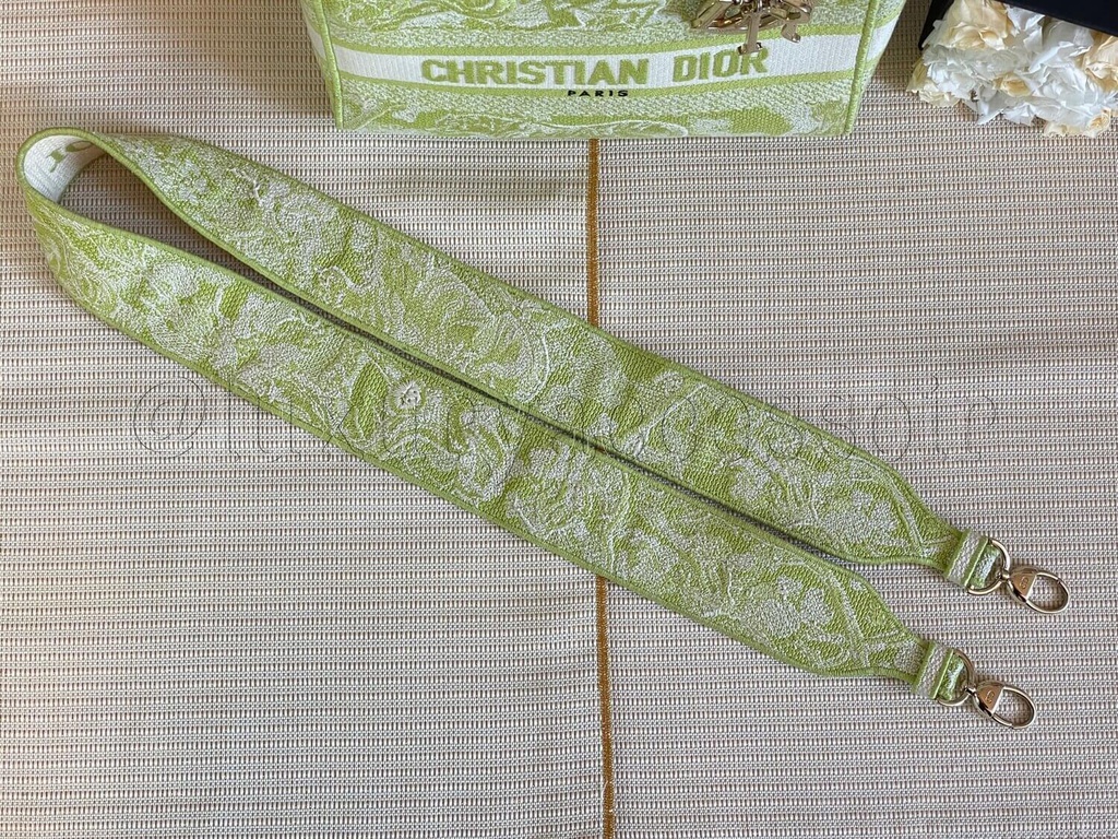 DIOR Lady D-Lite Toile de Jouy Medium