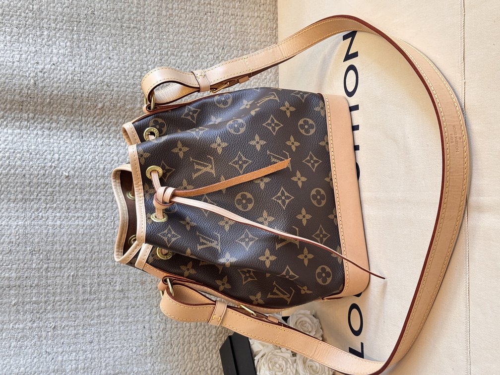 Noe BB Monogram