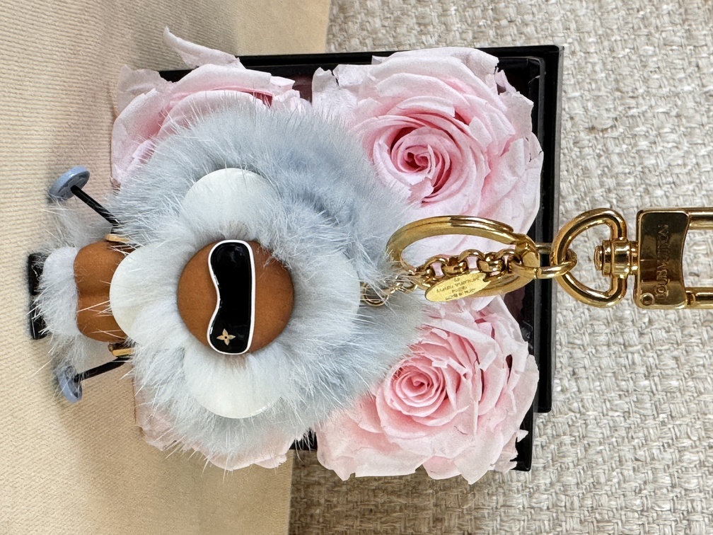 Taschenschmuck Vivienne Skier