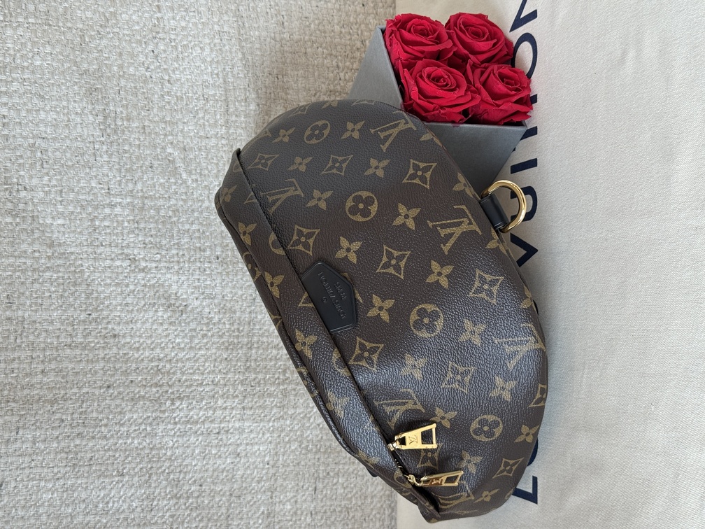 Bumbag Monogram World Tour