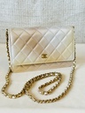 CHANEL Wallet on chain Ombre beige