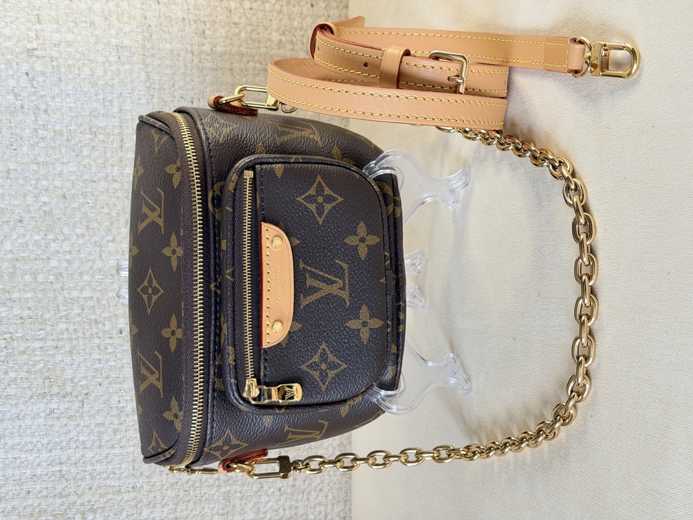 Mini Bumbag Monogram (Kopie)